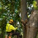 Crews support the Personal Property Debris Removal (PPDR) mission after Hurricane Helene
