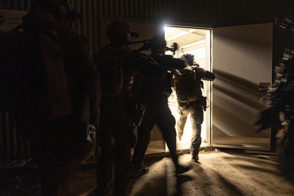 31st MEU | MRF conducts a limited scale raid