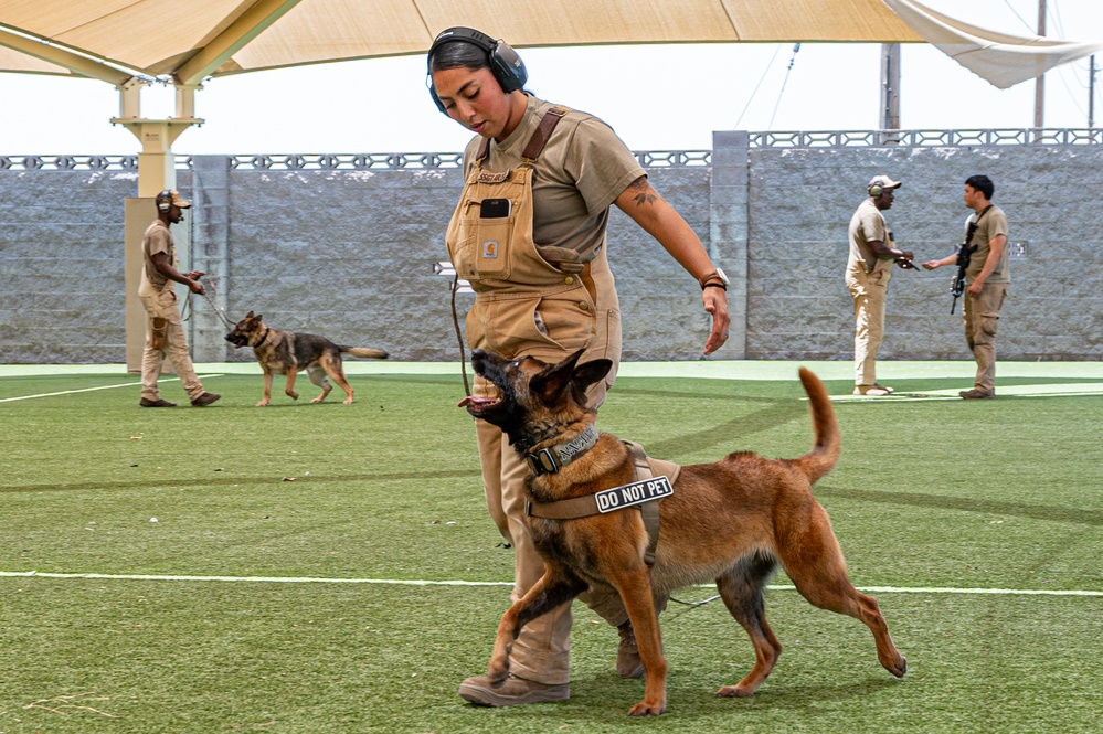 Staying Sharp: 99th Security Forces Squadron Military Working Dog Readiness