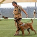 Staying Sharp: 99th Security Forces Squadron Military Working Dog Readiness