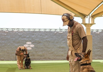 Staying Sharp: 99th Security Forces Squadron Military Working Dog Readiness
