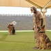 Staying Sharp: 99th Security Forces Squadron Military Working Dog Readiness