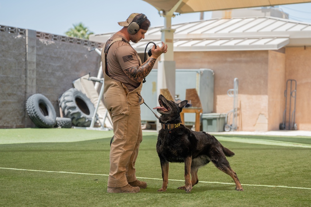 Staying Sharp: 99th Security Forces Squadron Military Working Dog Readiness