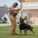 Staying Sharp: 99th Security Forces Squadron Military Working Dog Readiness
