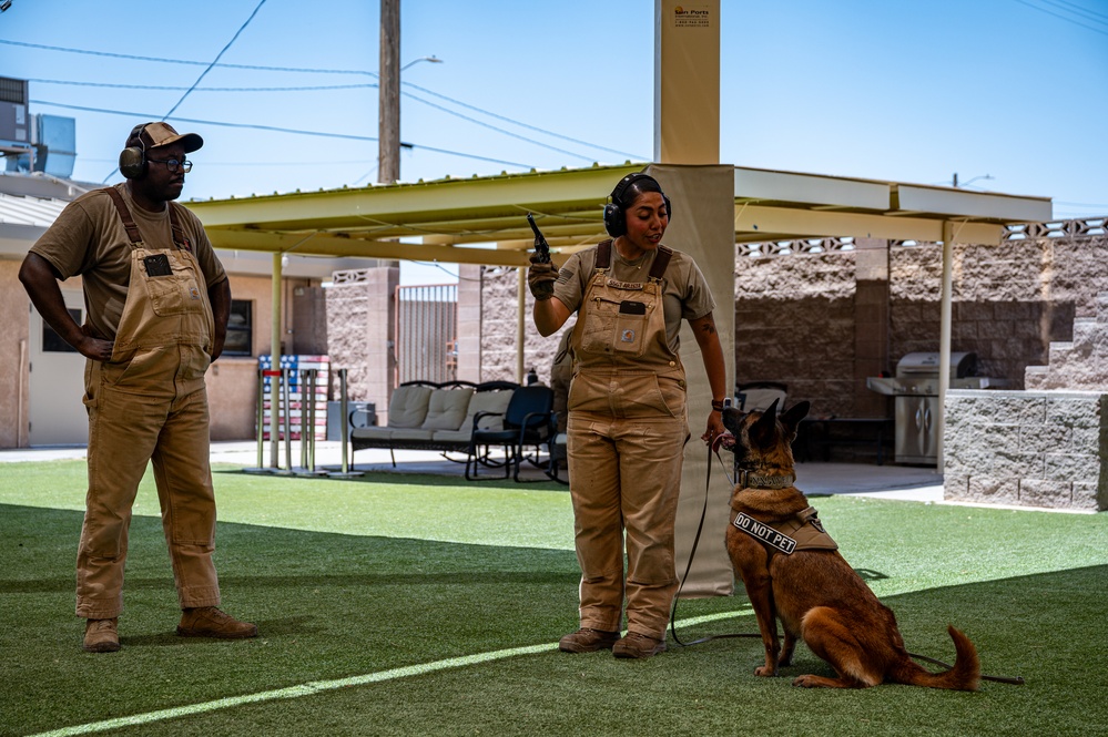 Staying Sharp: 99th Security Forces Squadron Military Working Dog Readiness
