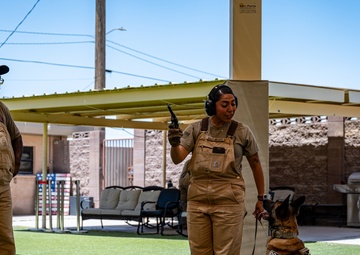 Staying Sharp: 99th Security Forces Squadron Military Working Dog Readiness