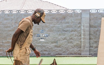 Staying Sharp: 99th Security Forces Squadron Military Working Dog Readiness