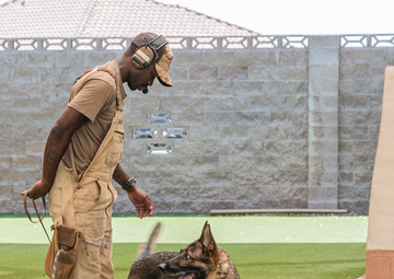 Staying Sharp: 99th Security Forces Squadron Military Working Dog Readiness
