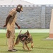 Staying Sharp: 99th Security Forces Squadron Military Working Dog Readiness