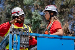 USACE Specialists Exchange Vital Skills at Palisades TDSR Site