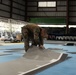 Koa Moana 25 Marines Assemble Basketballl Court for Pacific Mini Games 2025