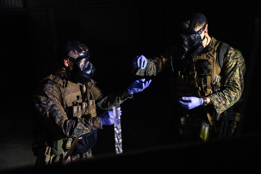 31st MEU | MRF conducts a limited scale raid