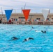 7th Communication Battalion| Advanced Swim Qualification