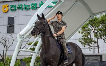 MARFORK attends Staff Sergeant Reckless Commemoration Ceremony