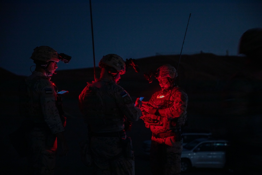 Estonian Defence Forces Conduct Close Air Support Live Fire Exercise