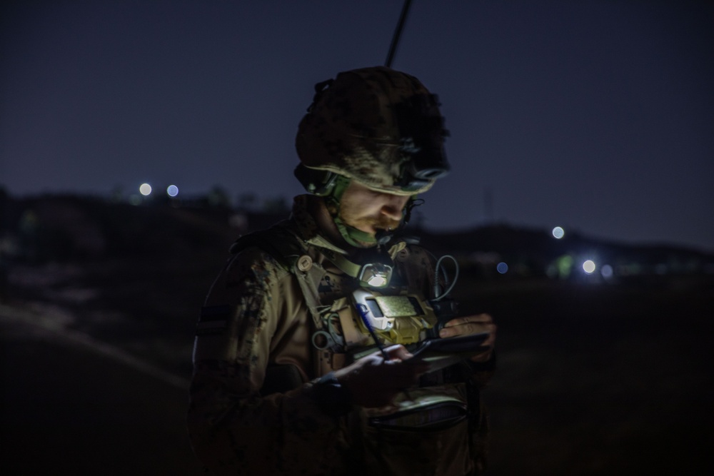 Estonian Defence Forces Conduct Close Air Support Live Fire Exercise