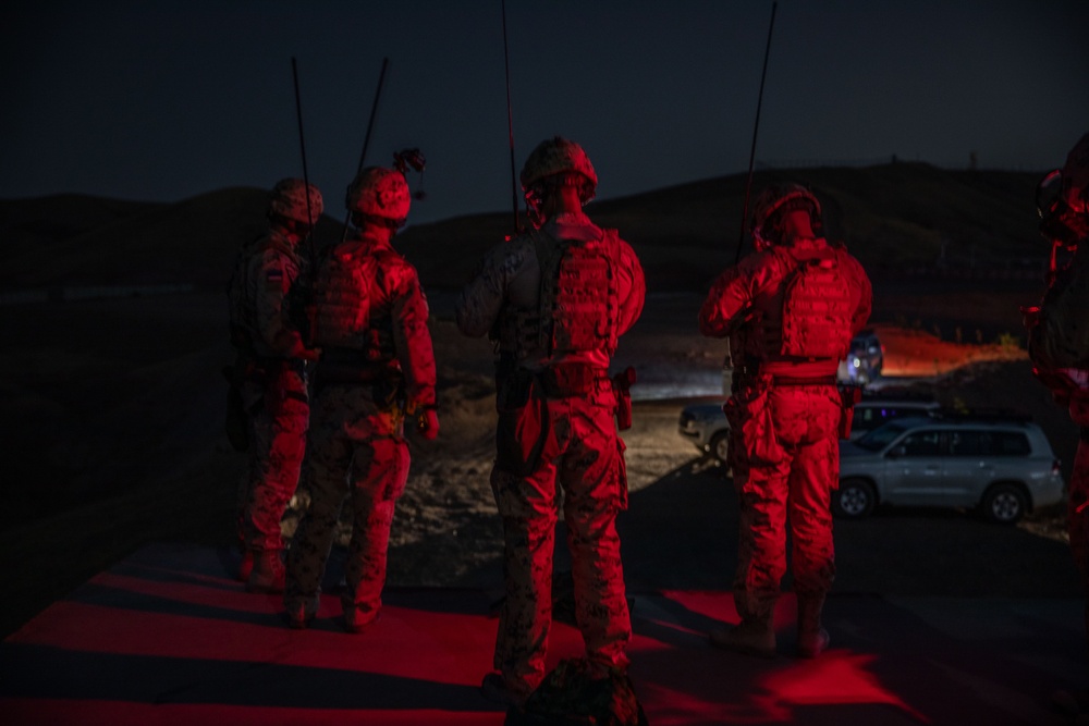 Estonian Defence Forces Conduct Close Air Support Live Fire Exercise