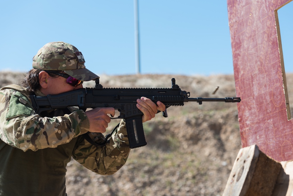 Coalition Forces Conduct Estonian and German-Led Range Operations