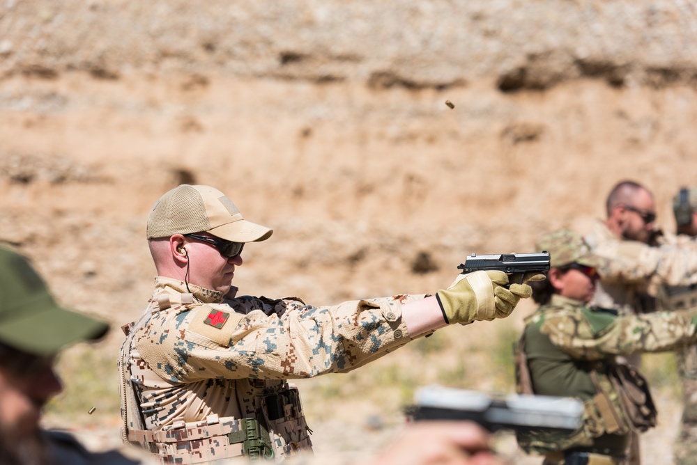 Coalition Forces Conduct Estonian and German-Led Range Operations