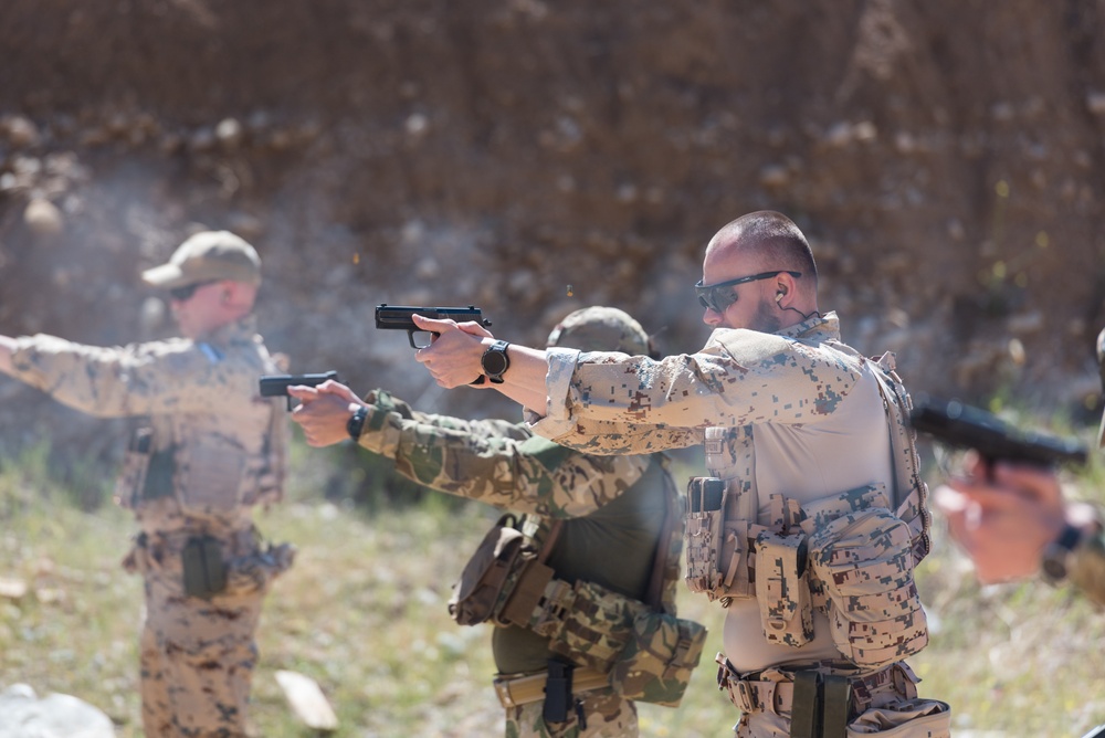 Coalition Forces Conduct Estonian and German-Led Range Operations