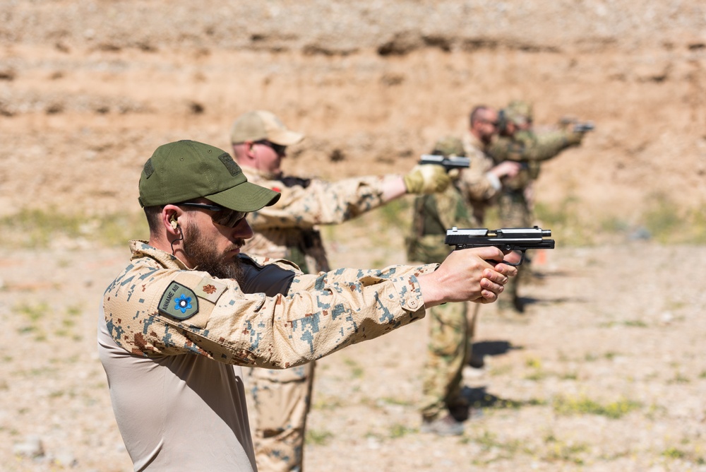 Coalition Forces Conduct Estonian and German-Led Range Operations