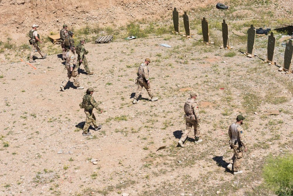 Coalition Forces Conduct Estonian and German-Led Range Operations