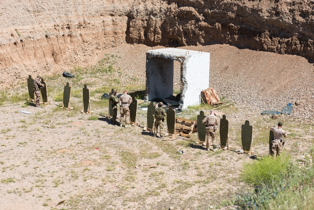 Coalition Forces Conduct Estonian and German-Led Range Operations
