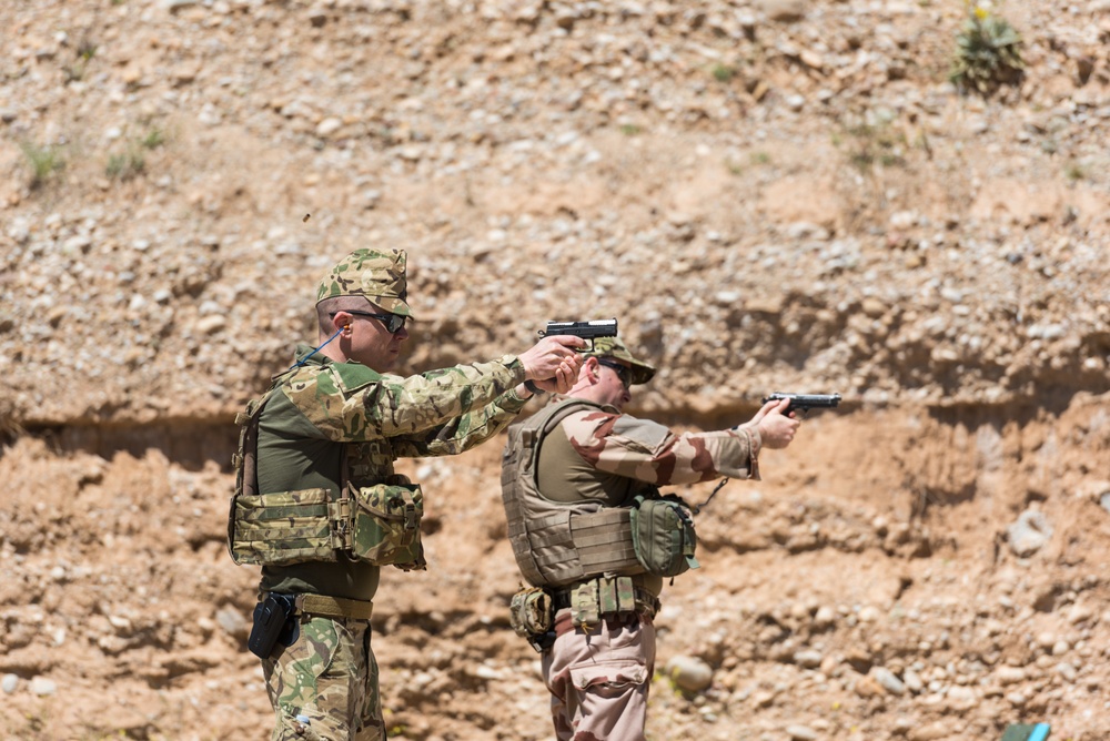 Coalition Forces Conduct Estonian and German-Led Range Operations