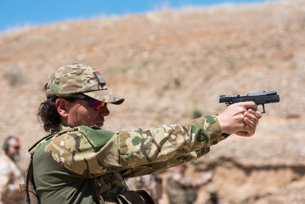Coalition Forces Conduct Estonian and German-Led Range Operations