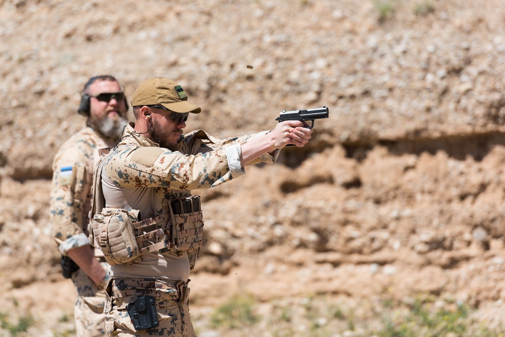 Coalition Forces Conduct Estonian and German-Led Range Operations