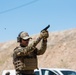 Coalition Forces Conduct Estonian and German-Led Range Operations