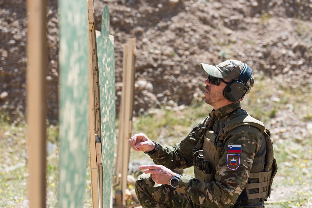 Coalition Forces Conduct Estonian and German-Led Range Operations