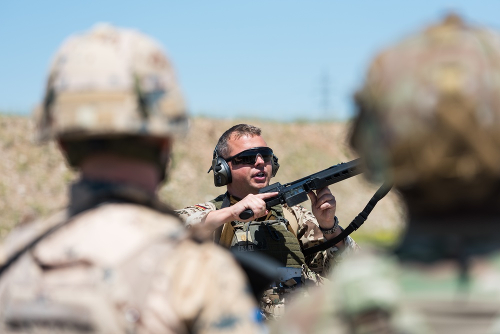 Coalition Forces Conduct Estonian and German-Led Range Operations