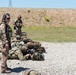 Coalition Forces Conduct Estonian and German-Led Range Operations