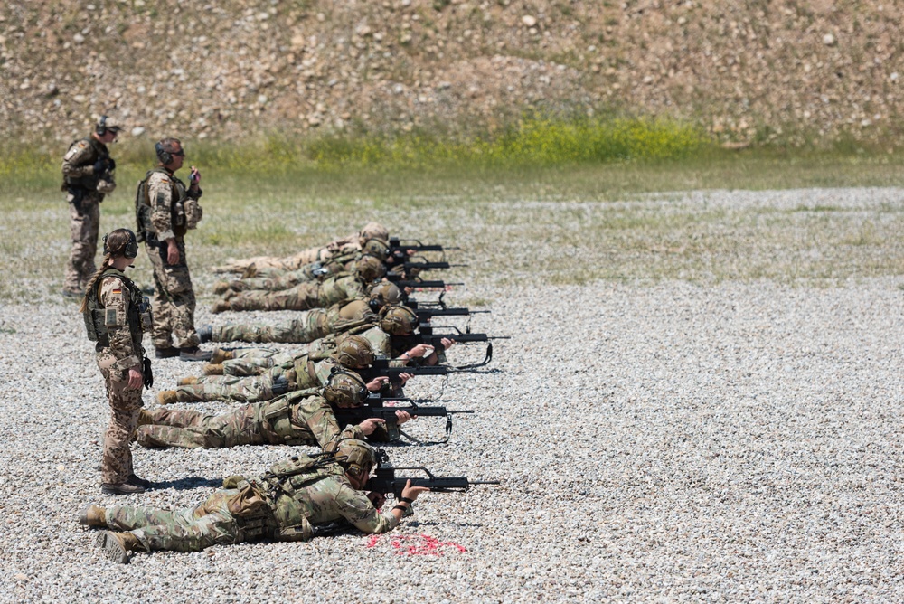 Coalition Forces Conduct Estonian and German-Led Range Operations