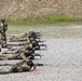 Coalition Forces Conduct Estonian and German-Led Range Operations