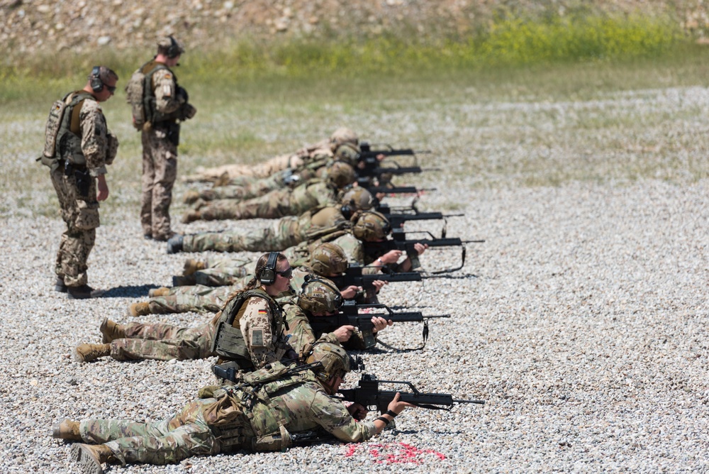 Coalition Forces Conduct Estonian and German-Led Range Operations