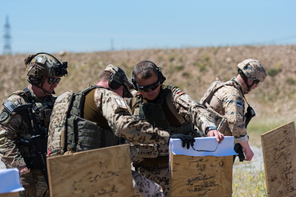Coalition Forces Conduct Estonian and German-Led Range Operations