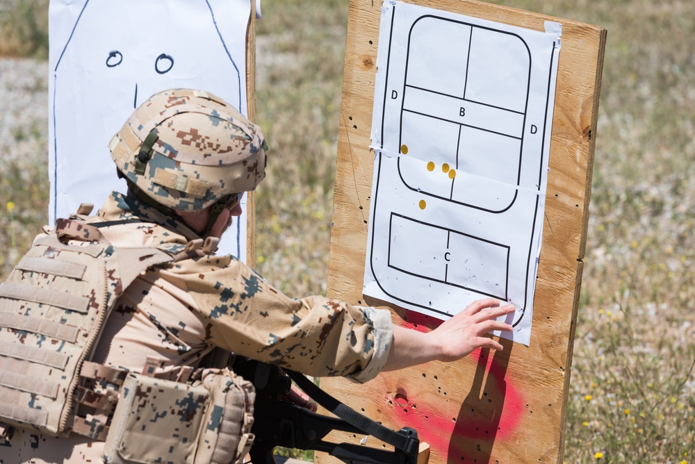 Coalition Forces Conduct Estonian and German-Led Range Operations