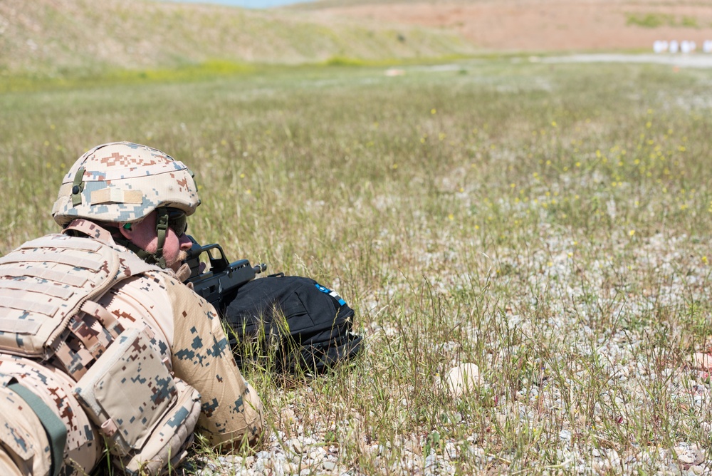 Coalition Forces Conduct Estonian and German-Led Range Operations