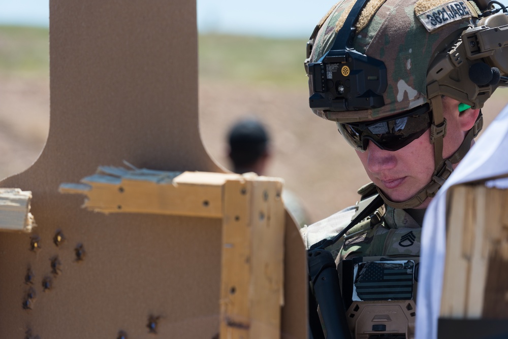 Coalition Forces Conduct Estonian and German-Led Range Operations