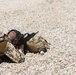 Coalition Forces Conduct Estonian and German-Led Range Operations