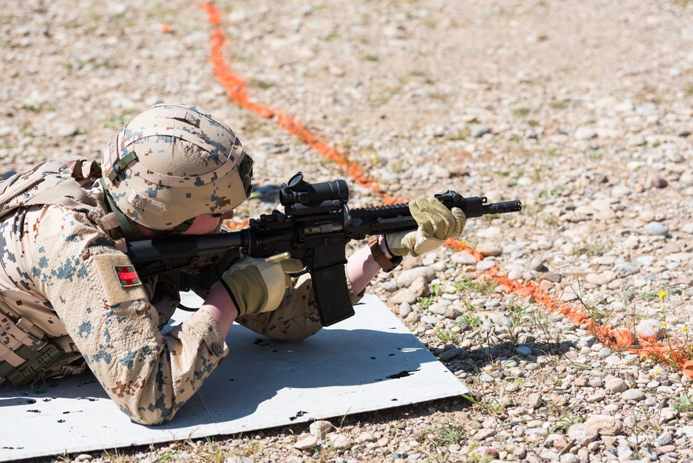 Coalition Forces Conduct Estonian and German-Led Range Operations