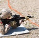 Coalition Forces Conduct Estonian and German-Led Range Operations