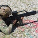 Coalition Forces Conduct Estonian and German-Led Range Operations