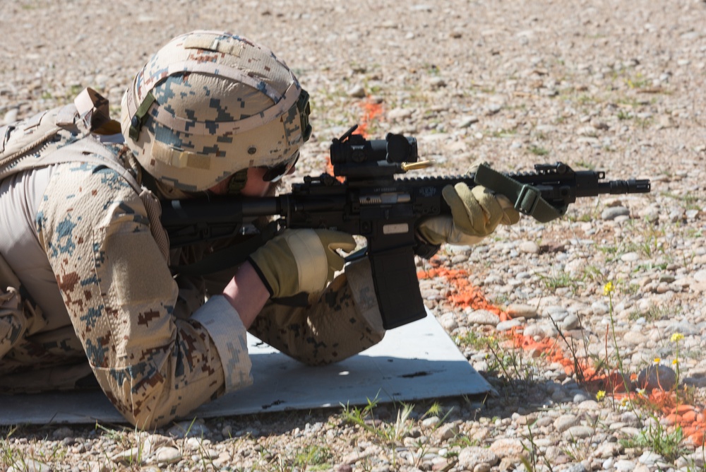 Coalition Forces Conduct Estonian and German-Led Range Operations