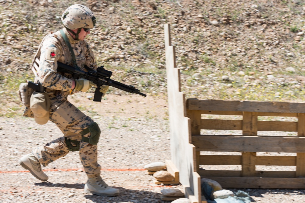 Coalition Forces Conduct Estonian and German-Led Range Operations