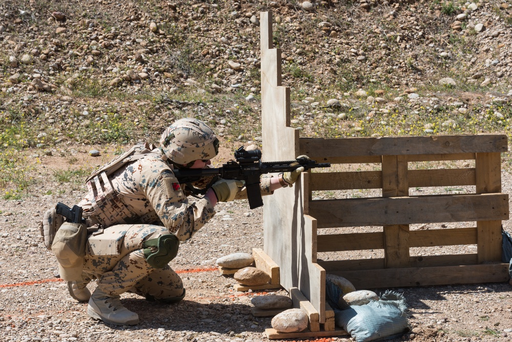 Coalition Forces Conduct Estonian and German-Led Range Operations
