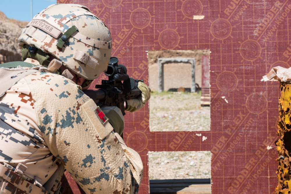 Coalition Forces Conduct Estonian and German-Led Range Operations