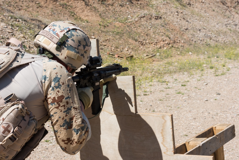 Coalition Forces Conduct Estonian and German-Led Range Operations